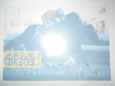 非売品／ウオッカ JRA 阪神ジュベナイルフィリーズ クリアファイル（A4）_画像2