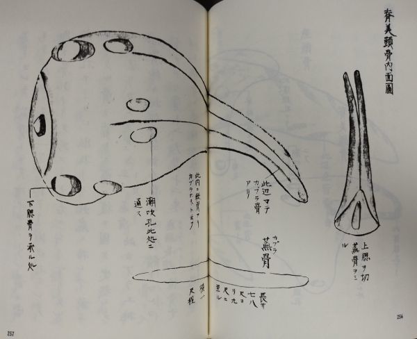 江戸科学古典叢書 全46巻揃セット』/昭和54年~58年発行/恒和 江戸科学古典叢書 全46巻揃セット』/昭和54年~58年発行/恒和