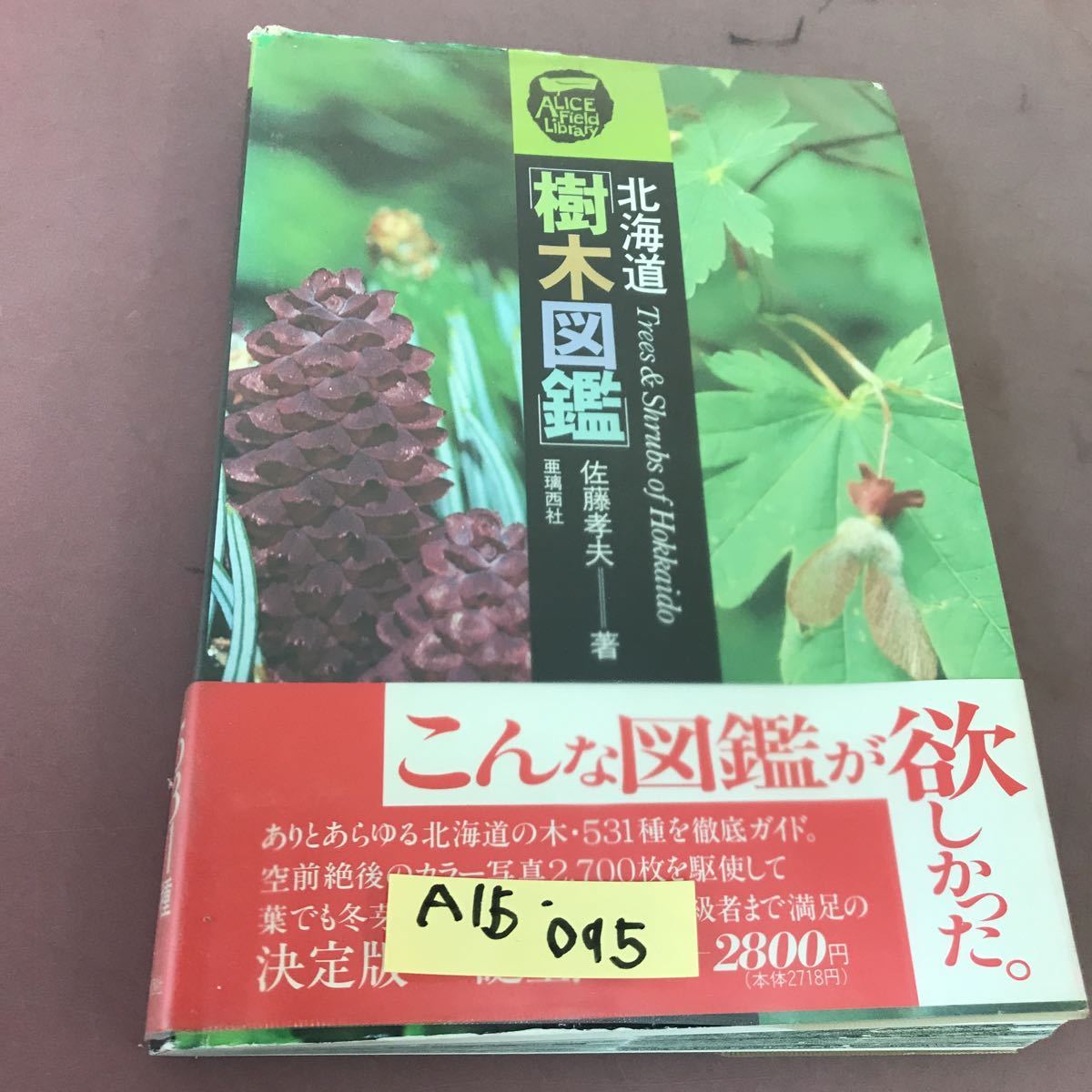 海外限定】 A15-095 北海道樹木図鑑 佐藤孝夫 亜璃西社 野草、植物