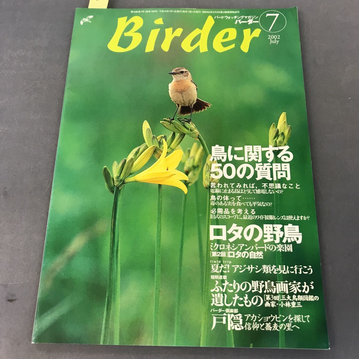 A12-124 Birder JULY 2002 7 特集 鳥に関する50の質問 文一総合出版
