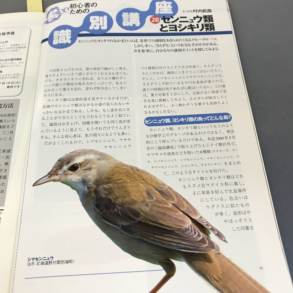 A12-124 Birder JULY 2002 7 специальный выпуск птица имеющий отношение 50. вопрос документ один обобщенный выпускать 