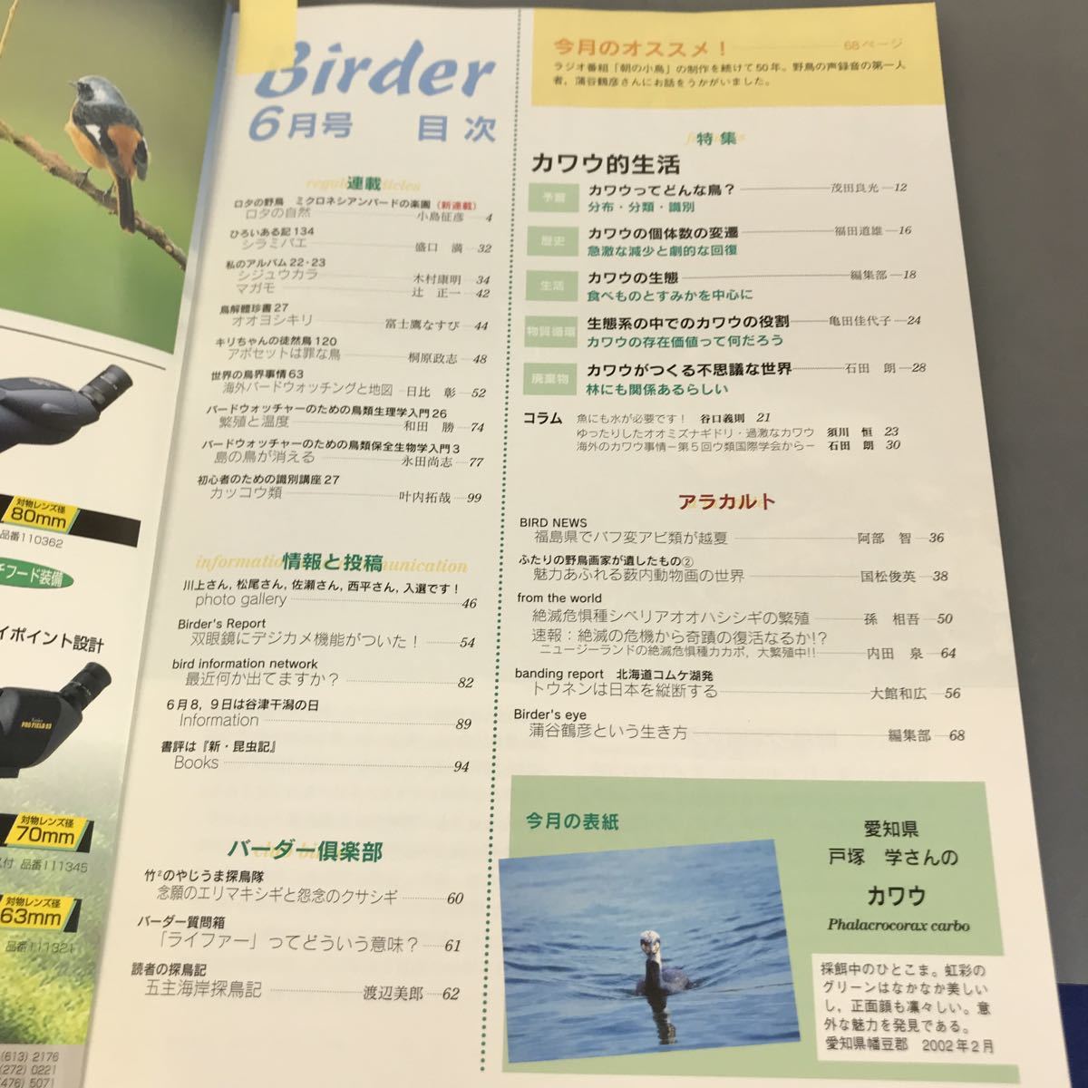 A12-129 Birder JUNE 2002 6 特集 カワウ的生活 文一総合出版_画像4