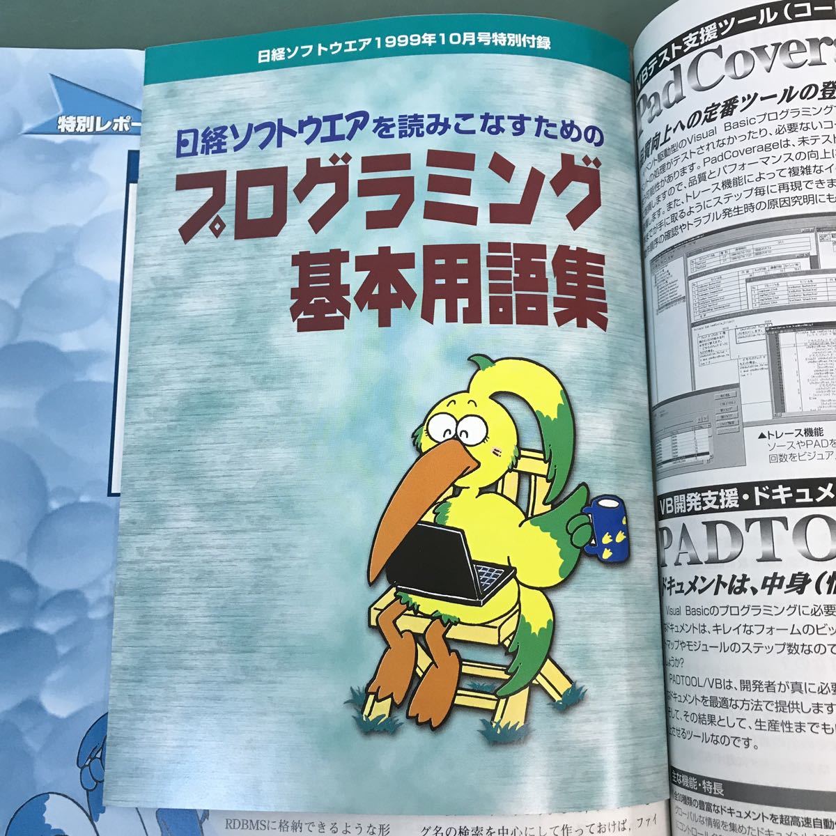 A17-080 日経ソフトウエア 1999年 10月号 Accessの魅力を探る すぐわかる文字コード 日経BP社_画像5