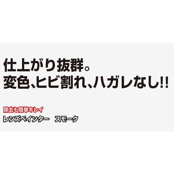  AUG アウグ スモーク スプレー 塗料　レンズペインター スモーク 204 本州九州四国送料無料_画像4