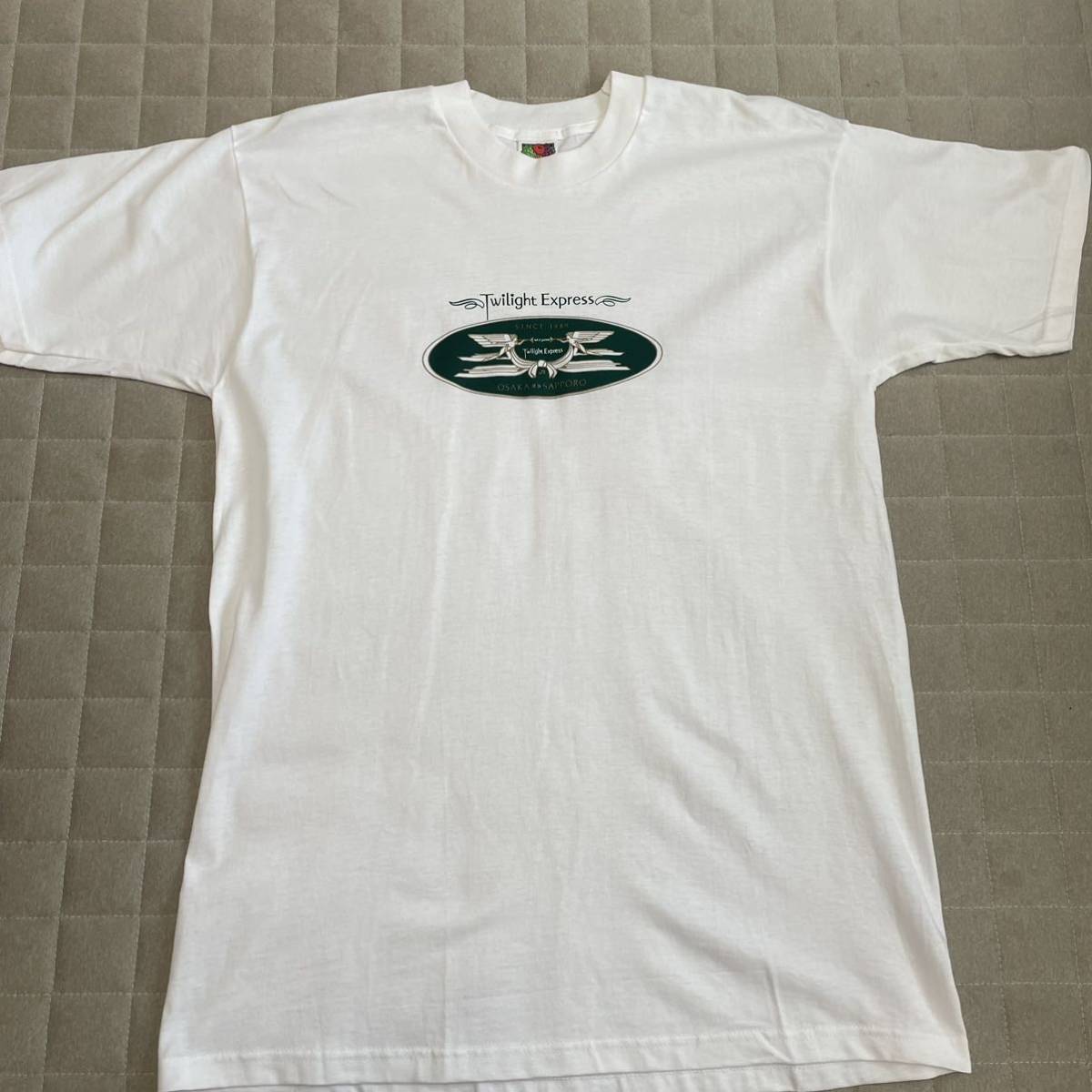 トワイライトエクスプレス　Twilight Express tシャツ Lサイズ　フルーツオブザルーム　fruitoftheloom