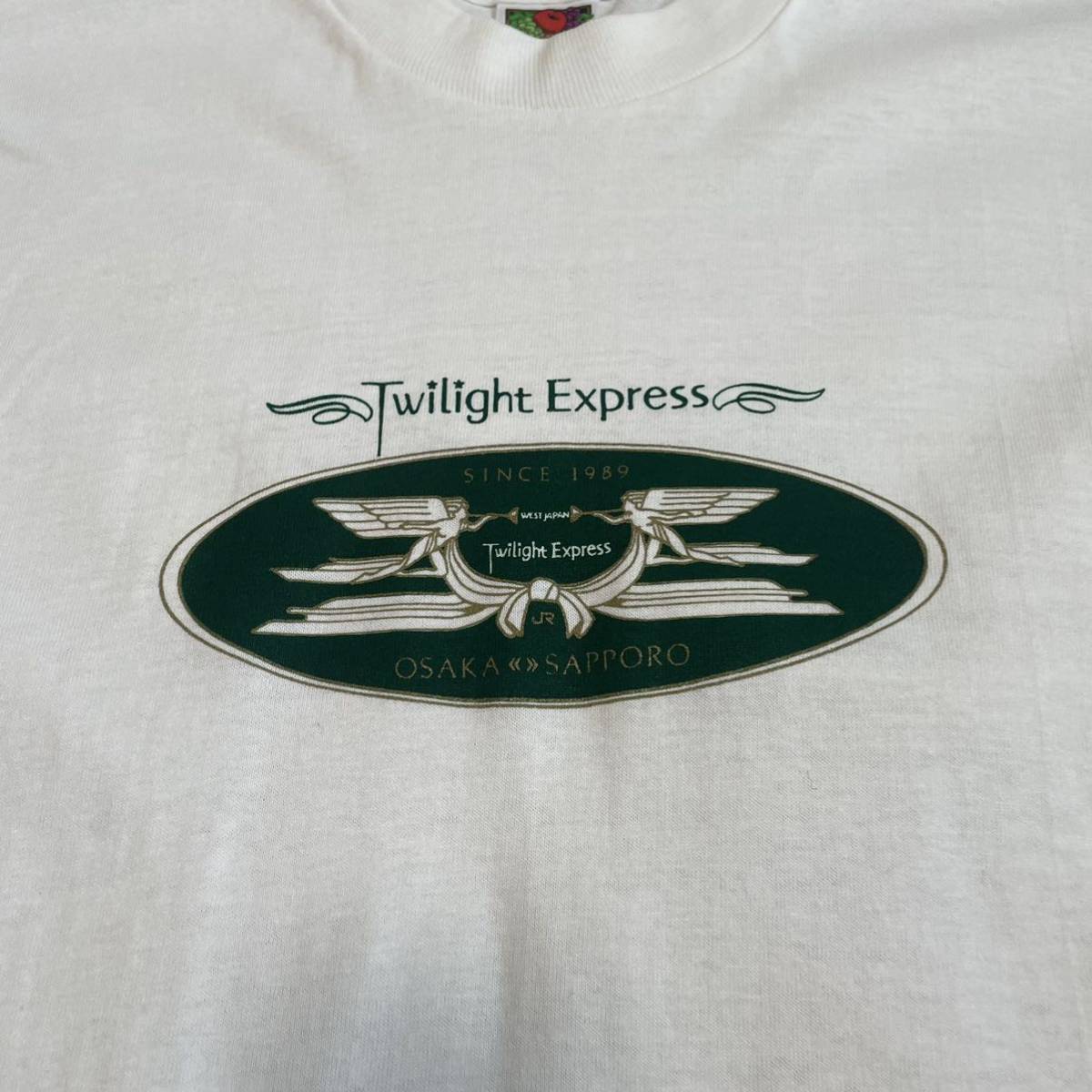 トワイライトエクスプレス　Twilight Express tシャツ Lサイズ　フルーツオブザルーム　fruitoftheloom