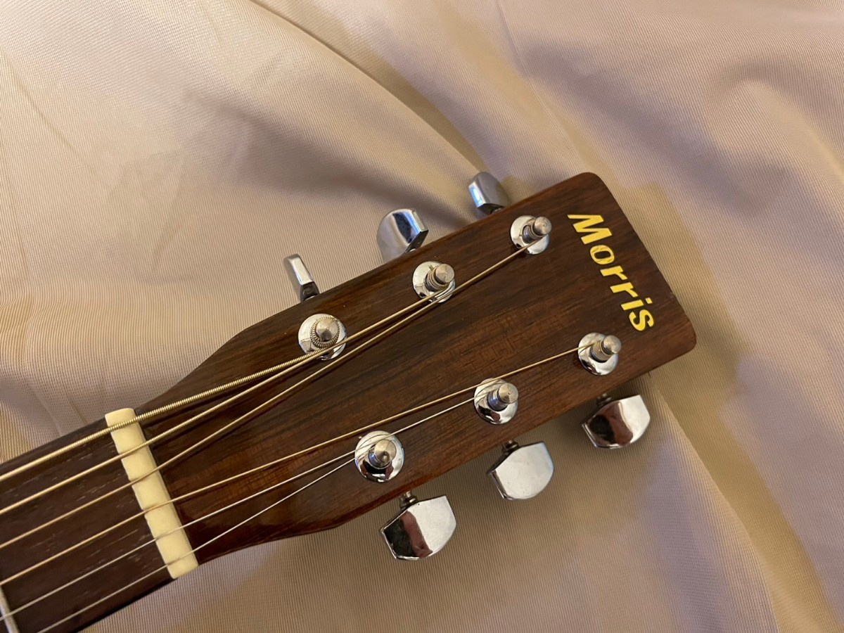 コンディション抜群で初心者にもおすすめ!】MORRIS MD-502TS コンディション抜群で初心者にもおすすめ!】MORRIS MD-502TS