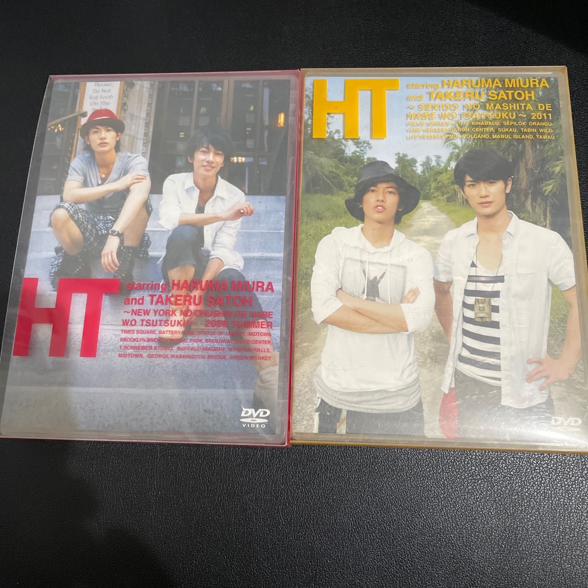 HT 三浦春馬 佐藤健 DVD