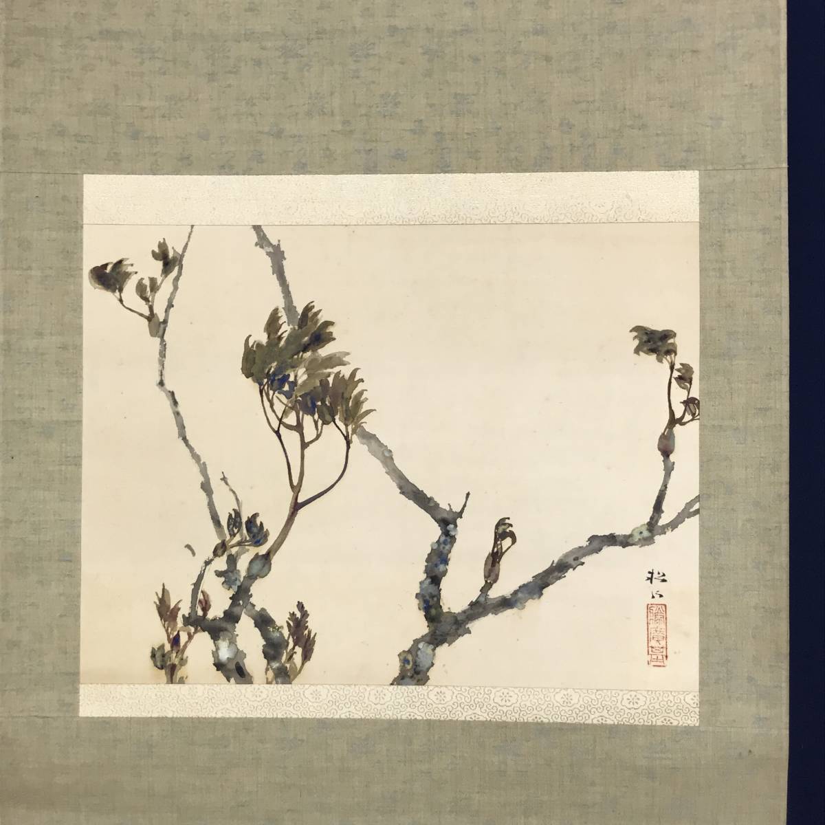 真作/藤井松山/芽牡丹図/牡丹図/花図/横物//掛軸☆ 真作/藤井松山/芽牡丹図/牡丹図/花図/横物//掛軸☆