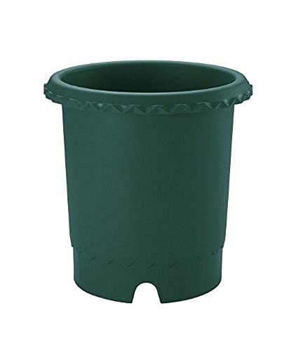  Ricci .ru rose pot 8 number dark green 