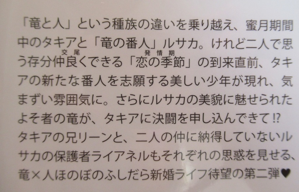 即決～竜の棲み処/君に至道しるべ～宵/一夜人見～リリ文庫_画像3