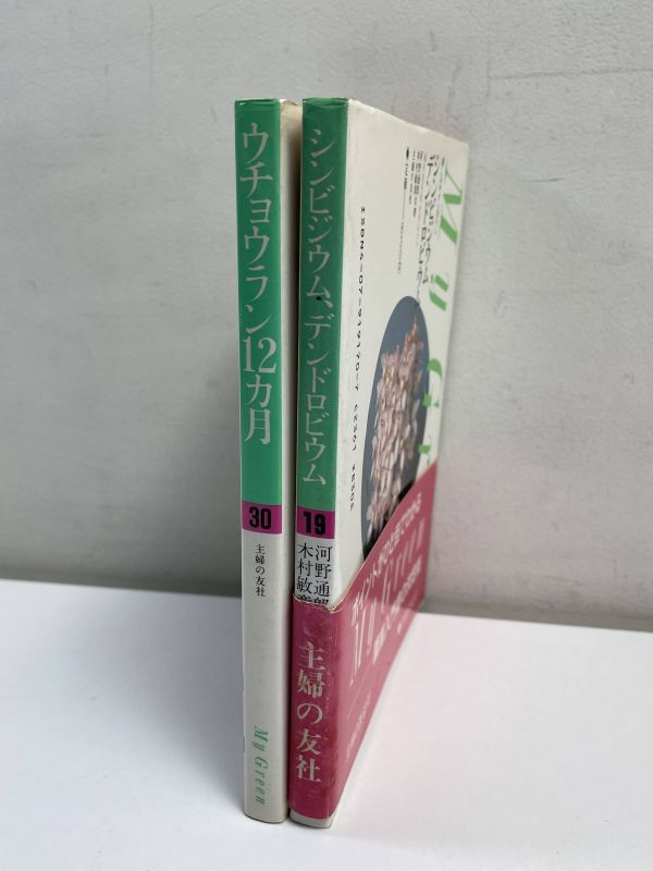 2冊セット　可憐な花を楽しむ ウチョウラン12ヵ月　主婦の友社　昭和63年（1988）発行　 シンビジウム　デンドロビウム【H65098】_画像3