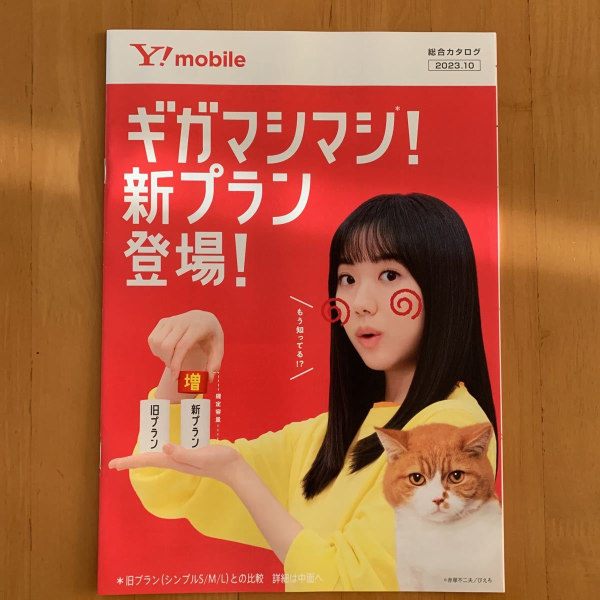 ワイモバイル Y!mobile カタログ 2023年10月 2冊 芦田愛菜_画像2