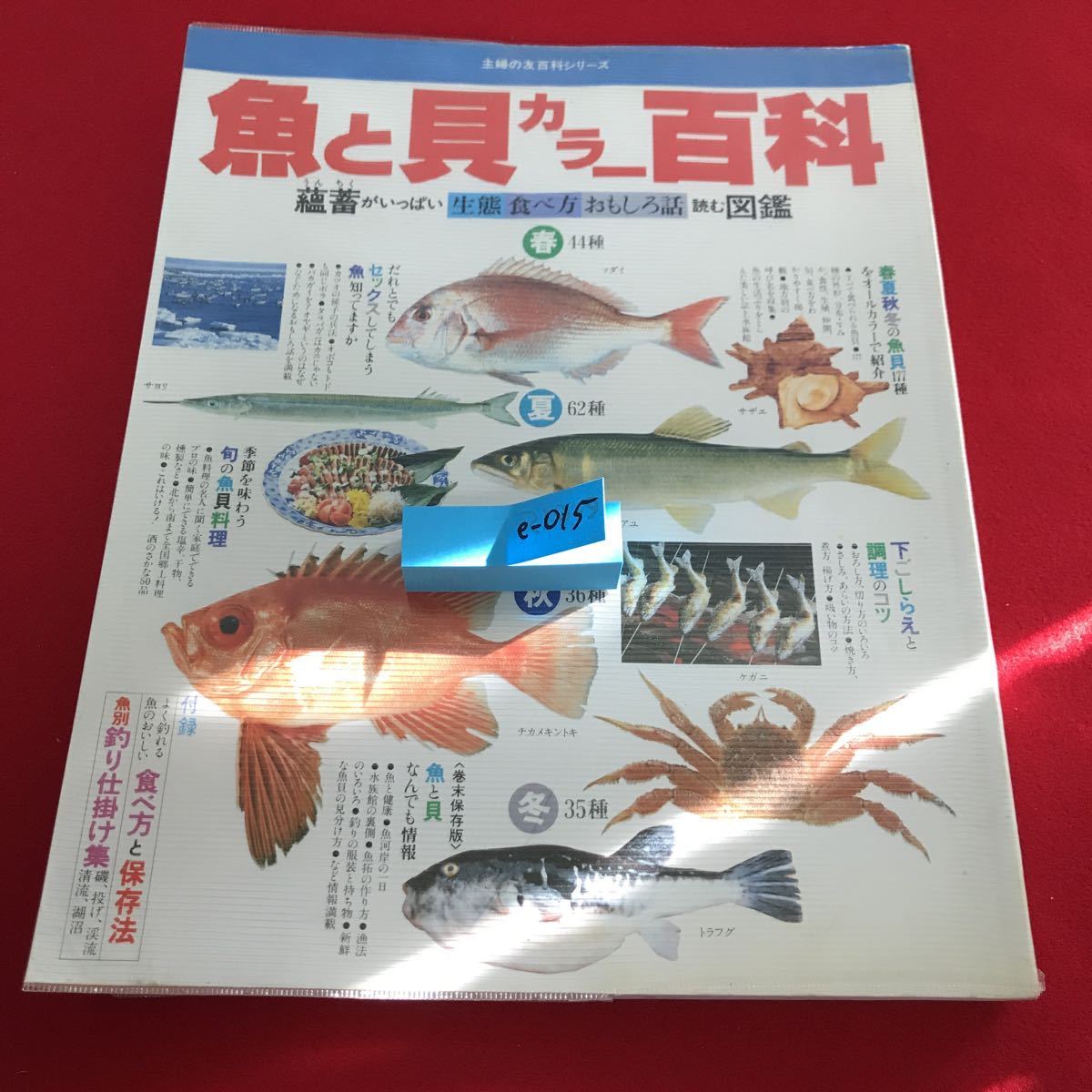 e-015 生態 食べ方 おもしろ話 蘊蓄がいっぱい 読む図鑑 魚と貝 カラー 百科 付録無し ※12_画像1