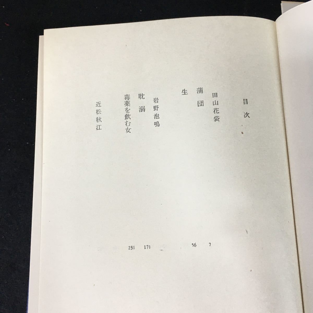 e-315 日本の文学 著者/田山花袋 岩野泡鳴 近松秋江 株式会社中央公論社 昭和45年初版発行※12_画像2