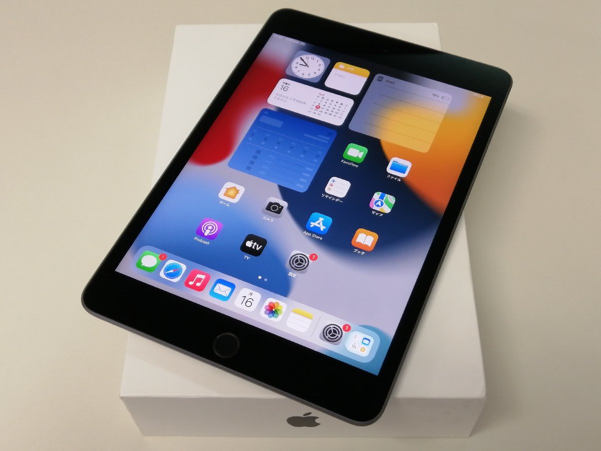 福袋 iPad mini(第5世代) WiFi 256GB A2133 MUU32J/A スペースグレイ
