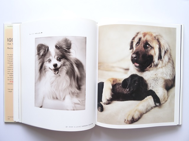 洋書◆犬の写真集 本 動物 アート_画像2