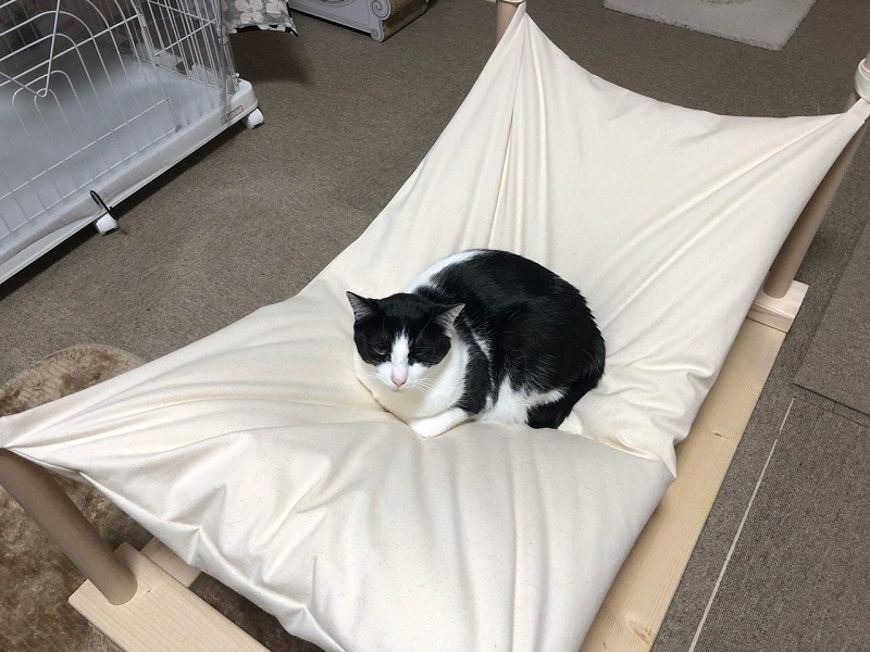 Cocoheart супер большой кошка гамак крепкий . парусина ( брезент ) сделано в Японии (100×50cm гамак (400g. хлопок ввод ) одиночный, парусина ( брезент ))