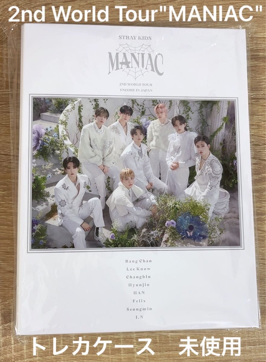 スキズ Stray Kids 2nd World Tour MANIACツアーグッズ トレカケース 新品未使用 おまけ付き