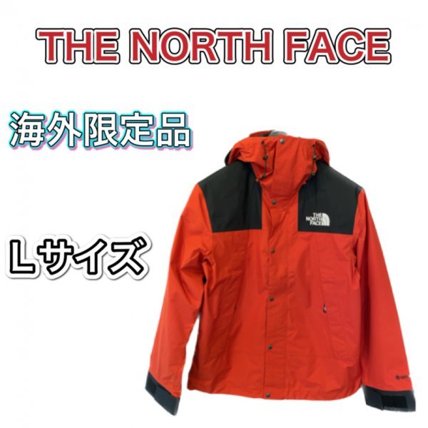 日本未発売 ノースフェイス マウンテンジャケット GORETEX Lサイズ　新品　THE NORTH FACE 1990 Mountain Jacket
