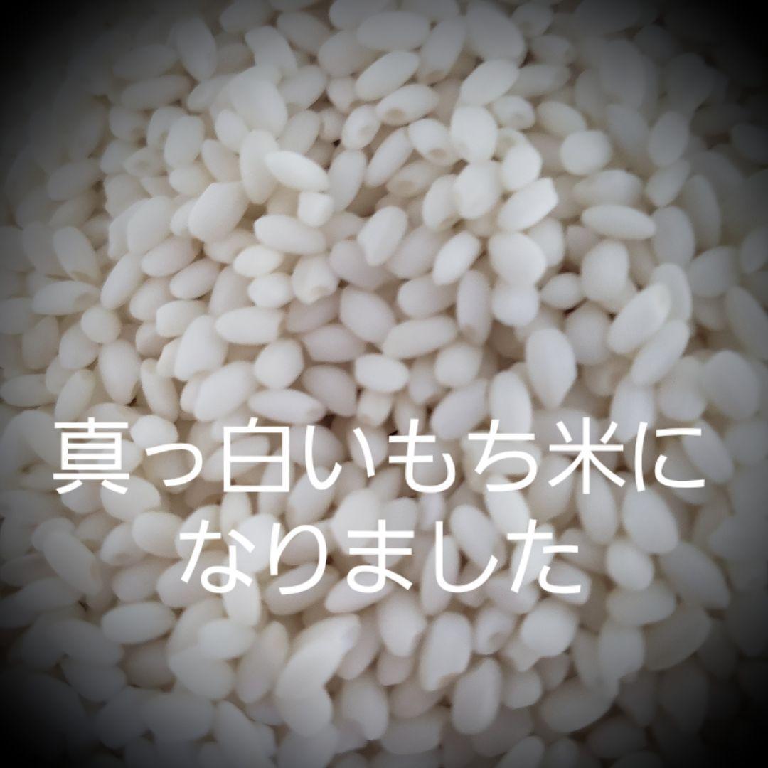 令和5年産棚田で育てたヒデコ餅包帯込み2㎏白米