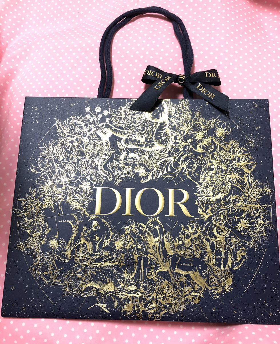 新品 ディオール 限定 紙袋 ショップ袋 ショッパー DIOR Dior_画像4