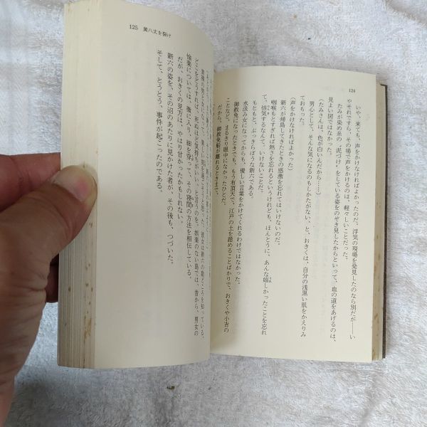 八丈流人帖 (徳間文庫) 早乙女 貢 訳あり ジャンク 9784195989999_画像8