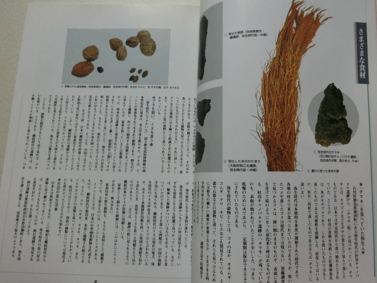 弥生人の食卓 米食事始め 大阪府立弥生文化博物館_画像3