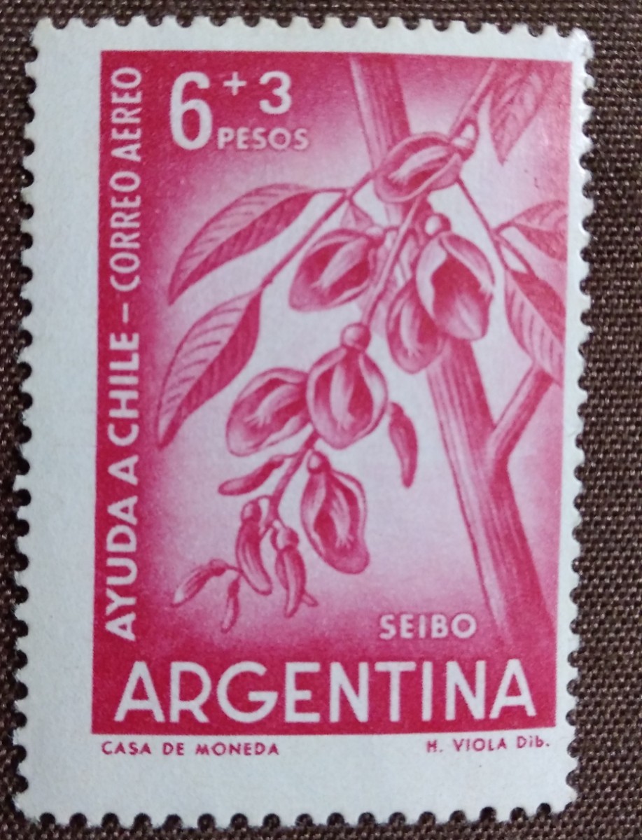 アルゼンチン 1960 チリの花 2種 未使用糊ありの画像3