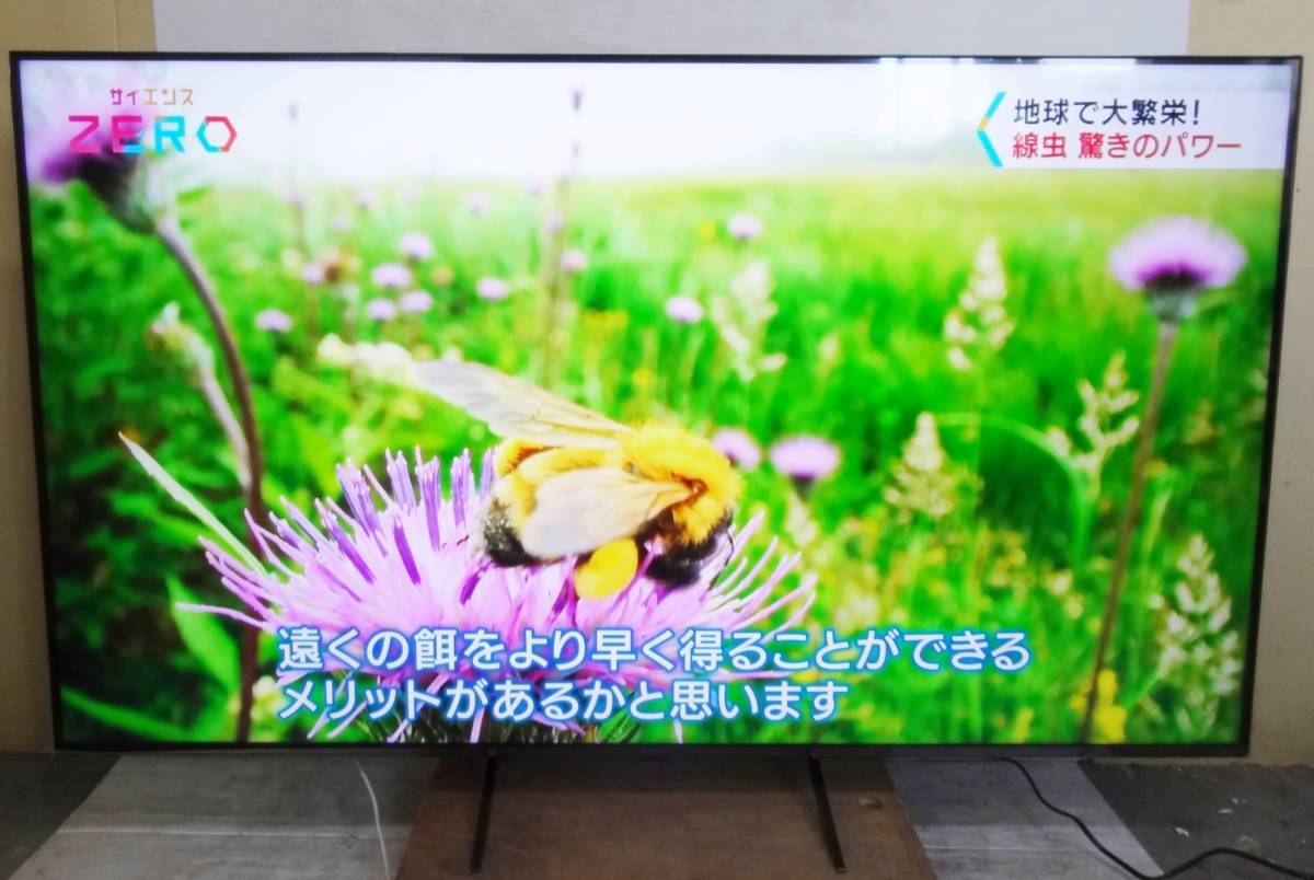 CP1295d LG 65V型 4K量子ドット液晶テレビ 65QNED85JQA 23年製 店頭受取可 大阪茨木市_画像1