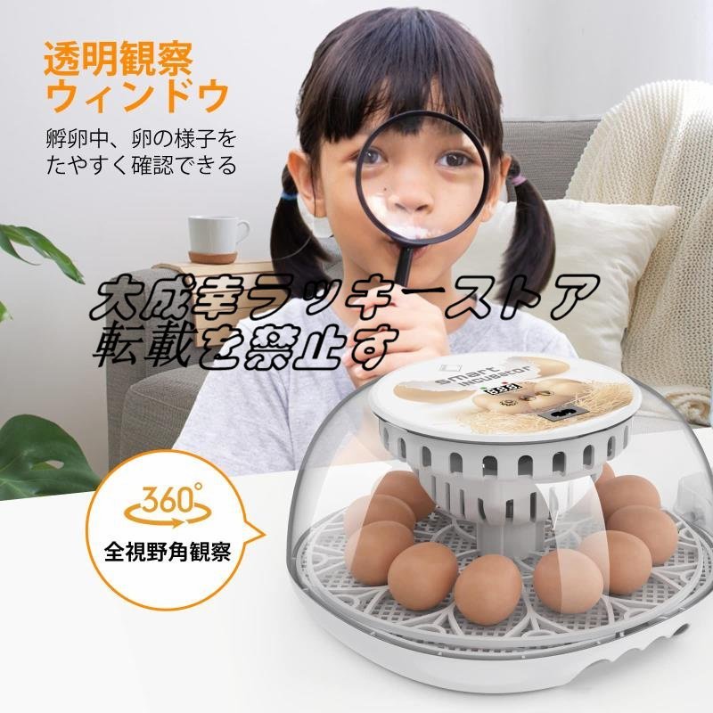  automatic . egg vessel in kyu Beta - birds exclusive use automatic rotation egg type a Hill goose ... chicken etc. house .. egg vessel 12 piece insertion egg possibility child education for home use z126