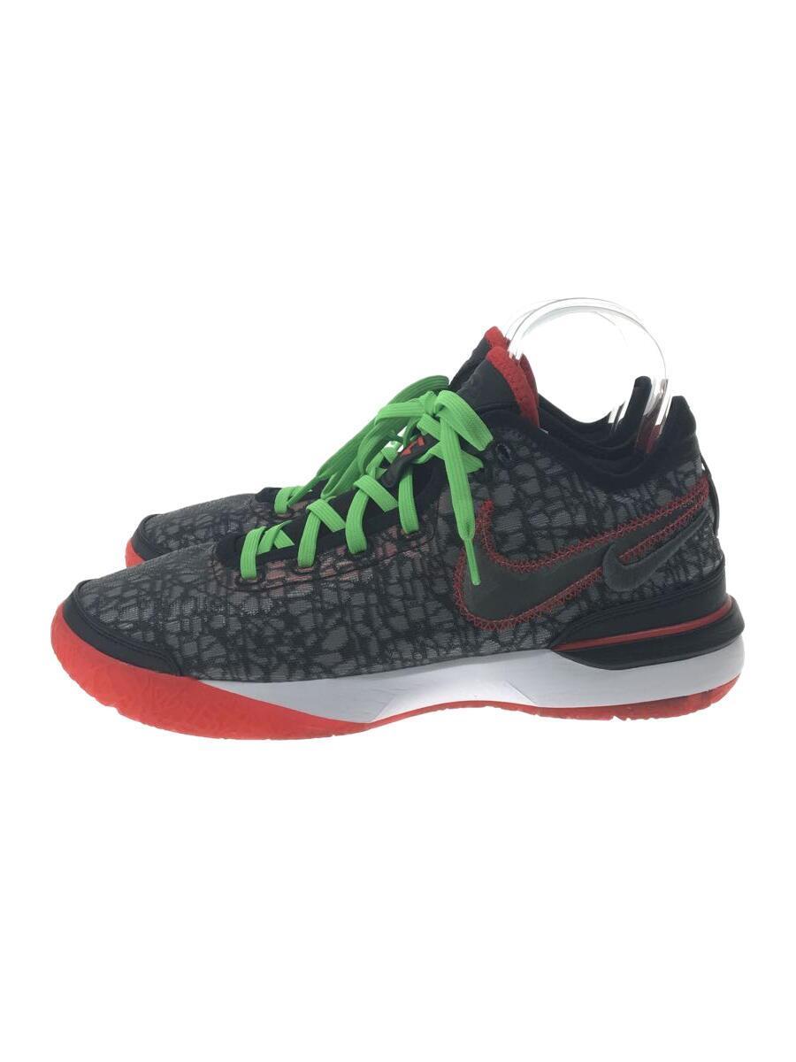 NIKE◆ZOOM LEBRON NXXT GEN EP/ハイカットスニーカー/29cm/グレー/dr8788-001