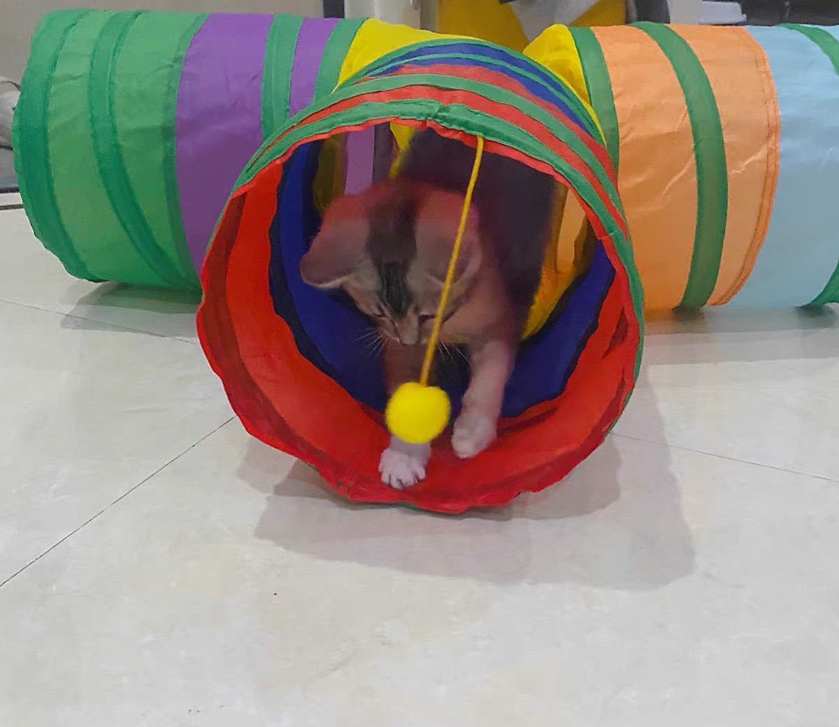  cat tunnel cat toy washing with water possibility storage convenience S type folding for pets colorful 