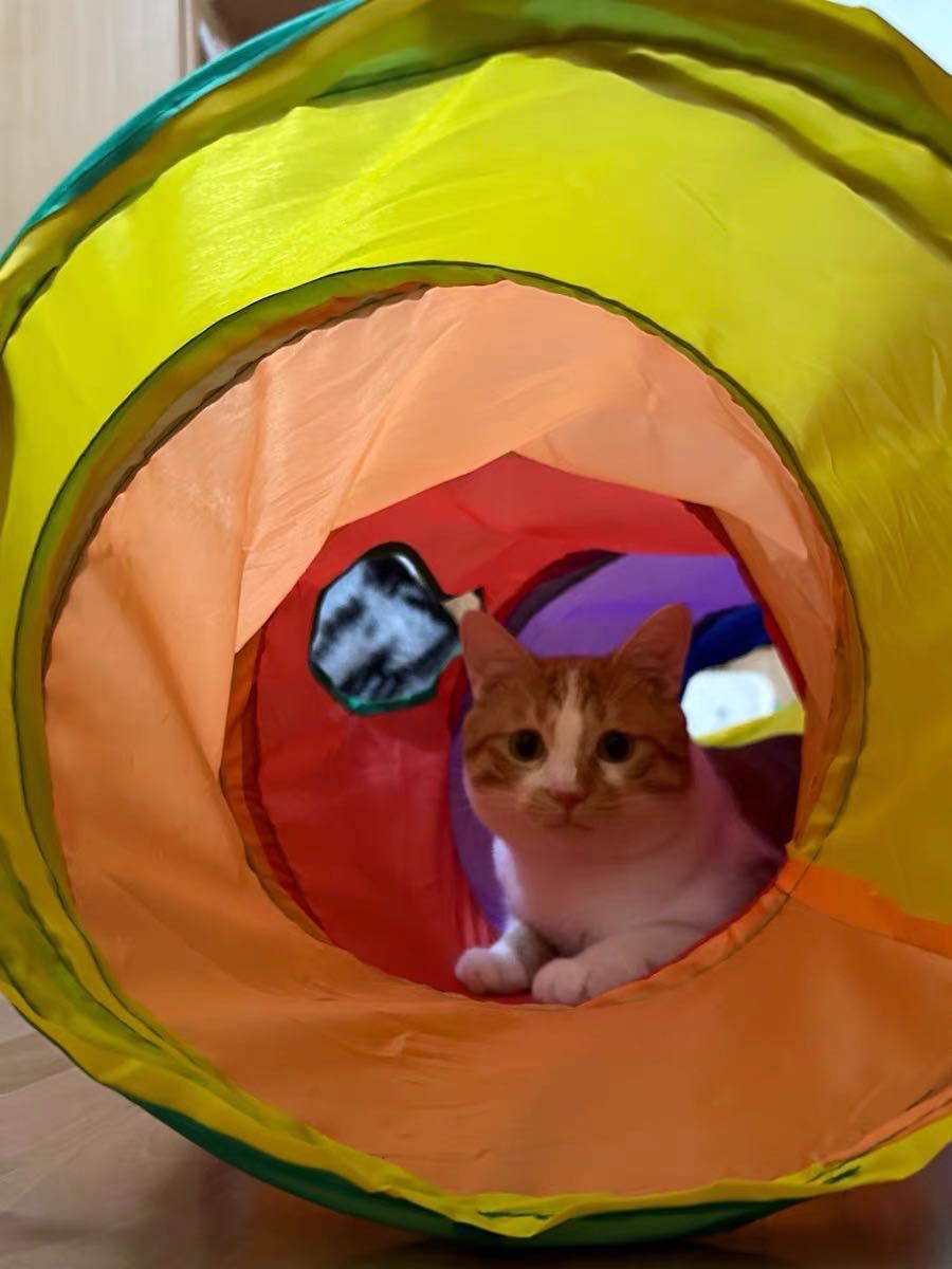  cat tunnel cat toy washing with water possibility storage convenience S type folding for pets colorful 