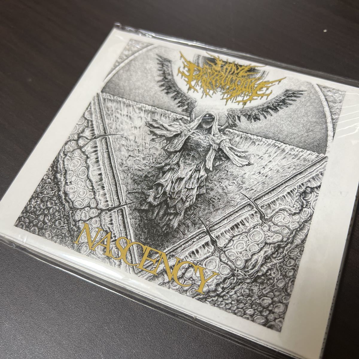 【新品同様】【新譜CD】I Am Destruction / Nascency【Deathcore】Signs of The Swarm,Lorna Shore,SPITE,Mental Cruelty,Worm Shepherd_画像3