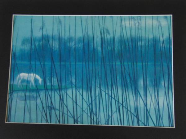 東山魁夷/水辺の朝、高級額装用画、サイン入り、大判、新品額付、ara-