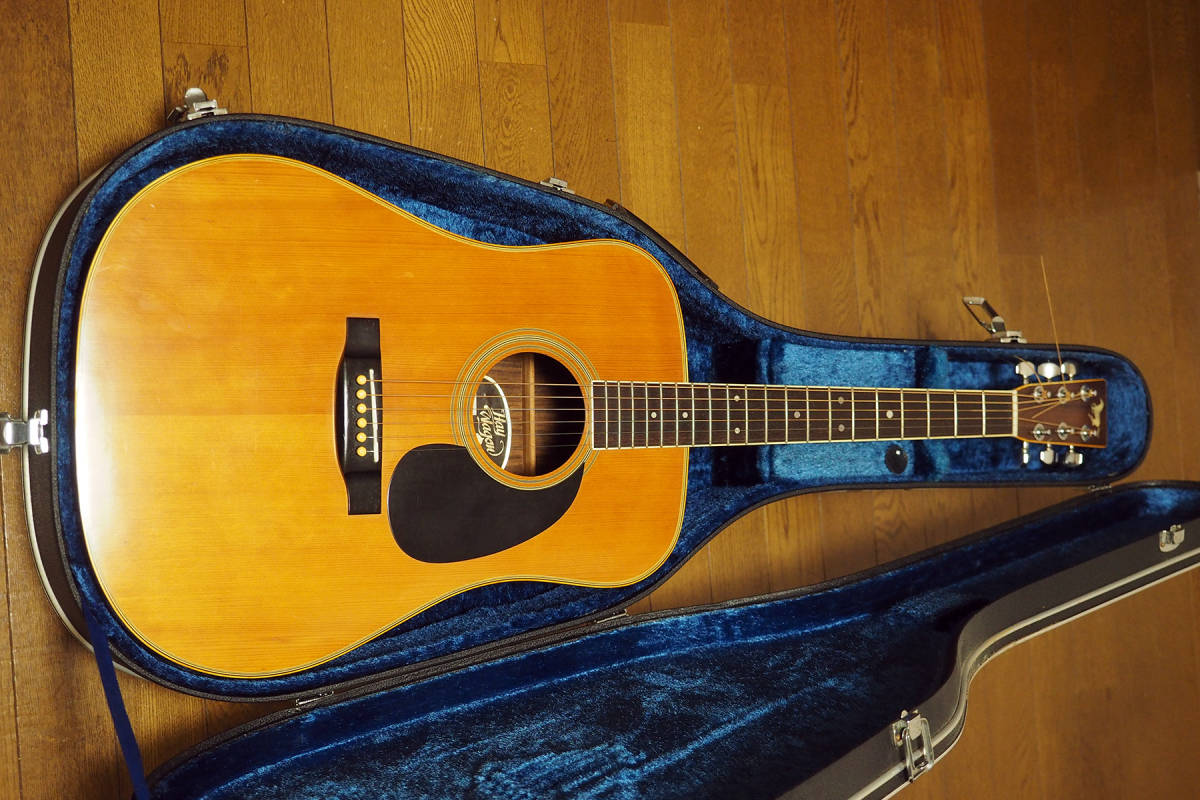 正規輸入品保証 アコギ Hay Wagon HW-30 growthcenter.icontinental.edu.pe