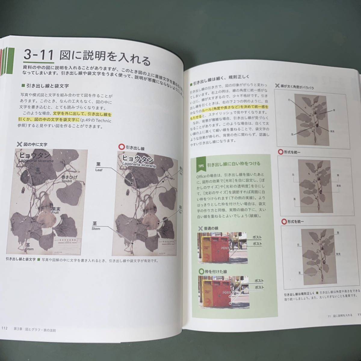 2冊①伝わるデザインの基本/よい資料を作るためのレイアウトのルール②色の本棚3_画像6