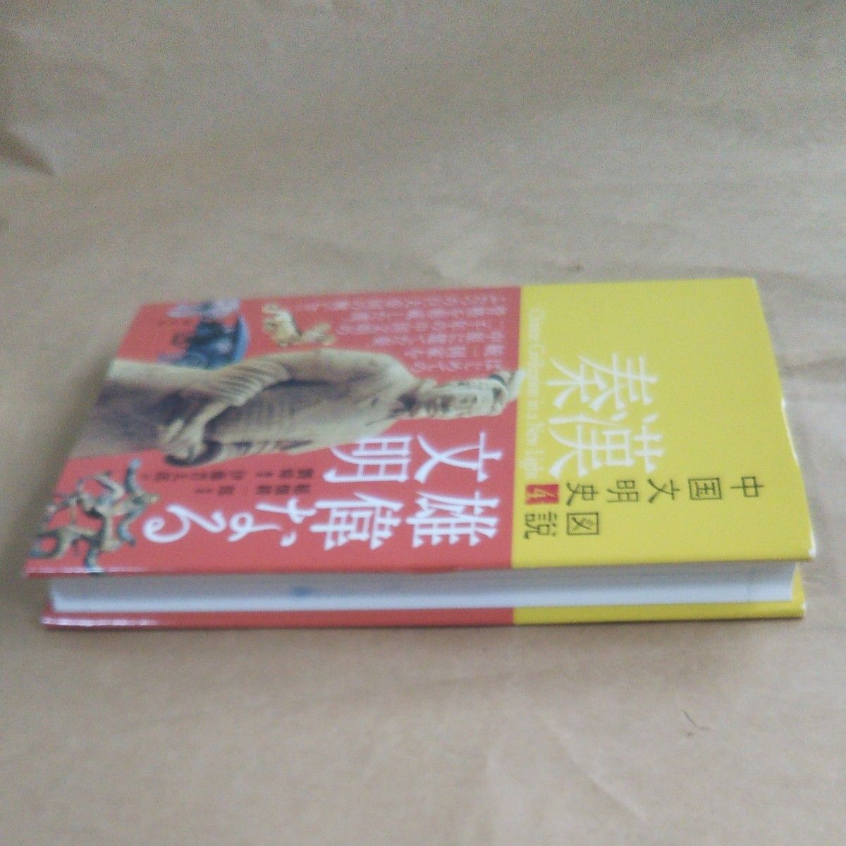 図説 中国文明史④奏漢 雄偉なる文明
