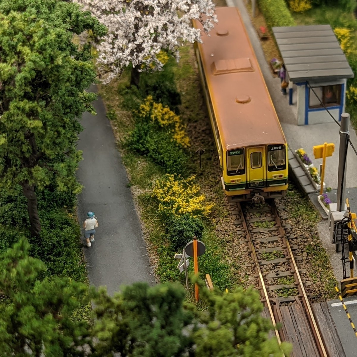 高品質】 日本の鉄道風景 桜 菜の花 小谷松駅再現 いすみ鉄道 Nゲージ
