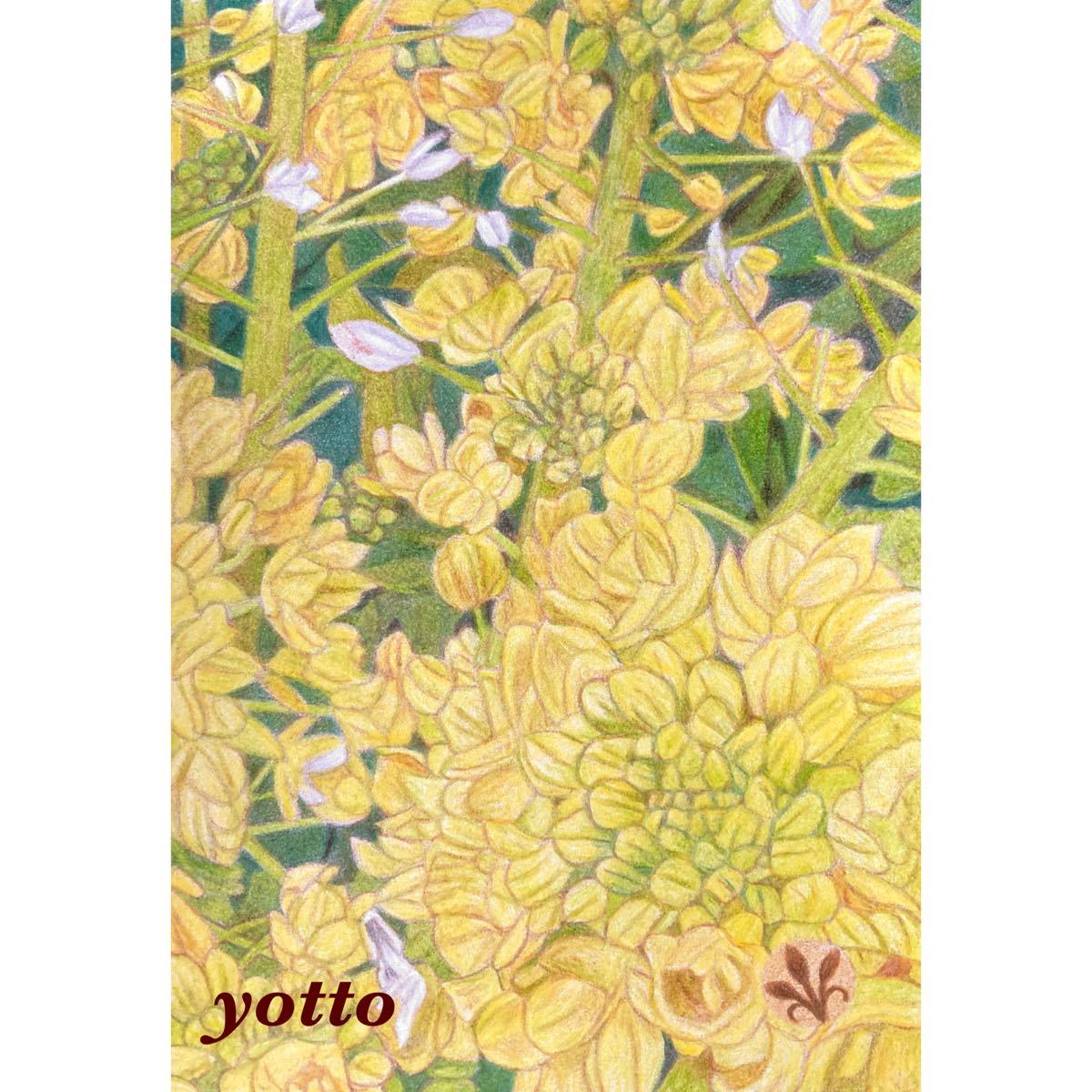  color pencil .[.{10}~.. flower ~ ] postcard size * amount attaching ** hand ..* original picture * flower **yotto