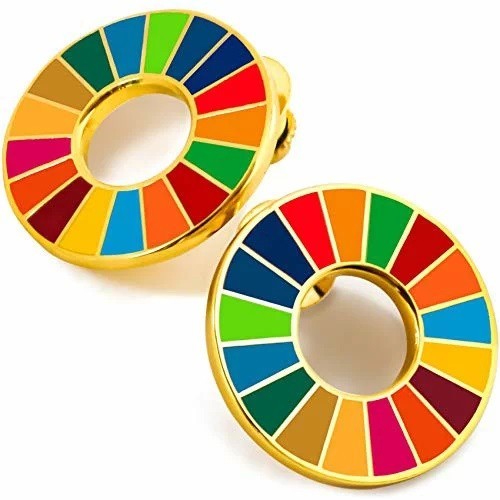 （2個セット） 国連ガイドライン対応 SDGs 25mm ゴールドフレーム UNDP ピンバッジ バッチ バッヂ 琅彩 七宝焼 ゴールド！送料無料！_画像1