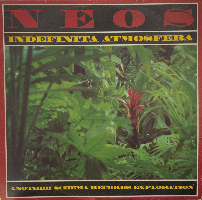 NEOS / Indefinita Atmosfera 2LP Vinyl record (アナログ盤・レコード)_画像1