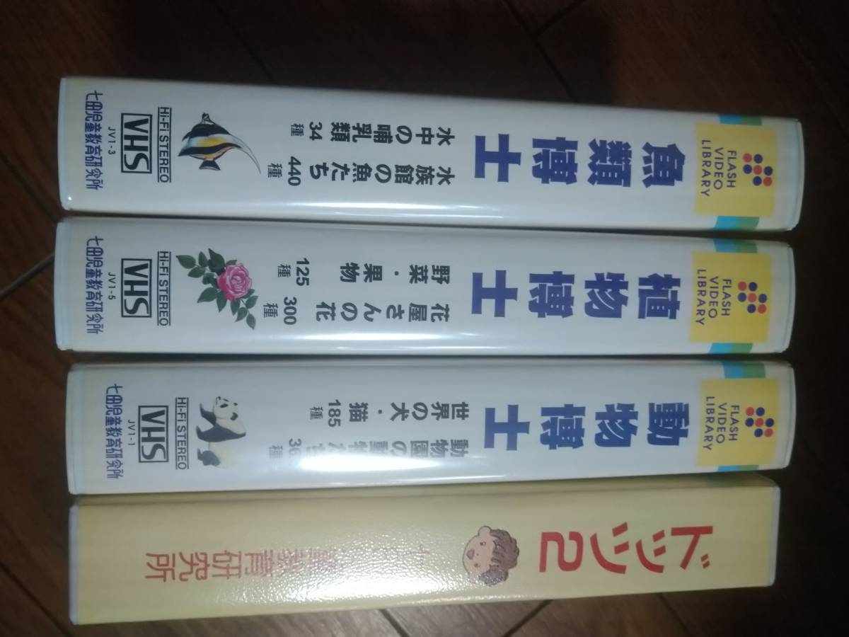 激レア 七田児童教育研究所 FLASH VIDEO LIBRARY ドッツ2 育樂博士 動物博士 植物博士 4-904_画像3