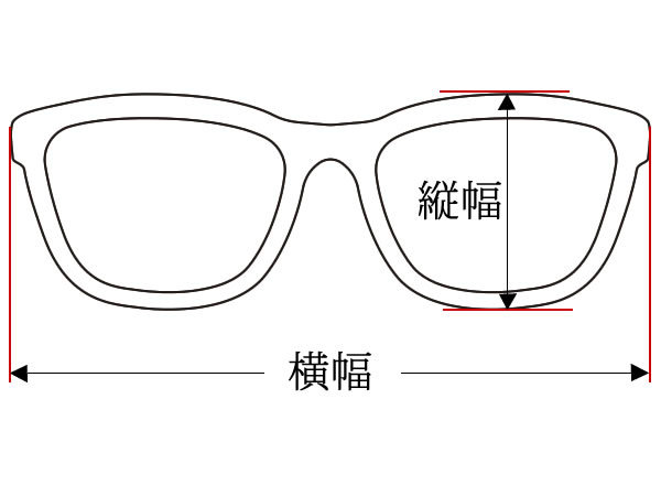 STRAIGHT TEMPLE BIKER SHADE BLACK × SMOKE + メガネケース BLACK /バイカーシェードスモークレンズ眼鏡めがねモーターサイクルデン_画像8
