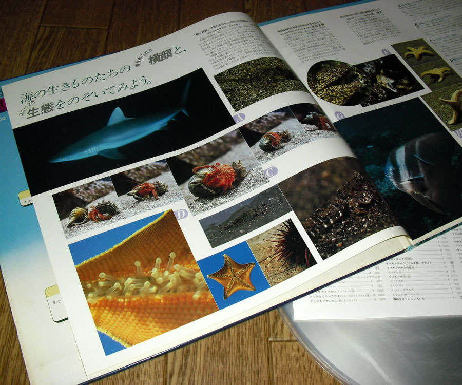 ◆レーザーディスク(LD)◆【海洋生物資料】[図鑑 海の生きもの - 無脊椎動物 魚] (索引表付)◆_画像5