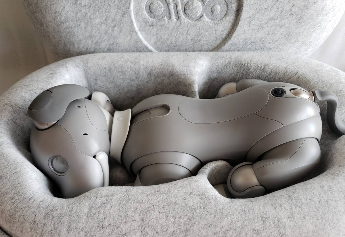 ソニー aibo アイボ ERS-1000 限定カラー 黒ゴマ エディション SONY AIBO 限定品 ロボット　ペット　犬_画像5