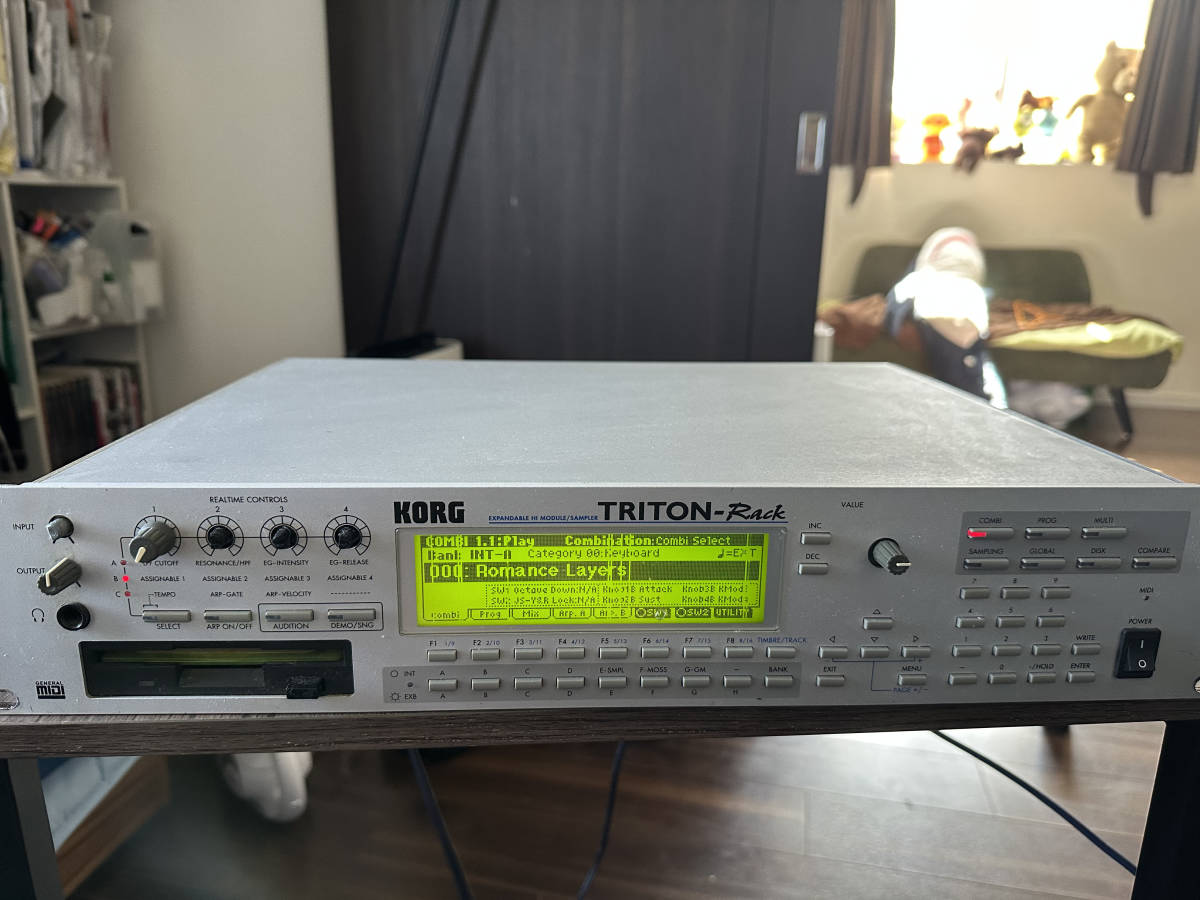 KORG Triton-Rack オプションEXB-PCM 7枚搭載 (音源モジュール)|売買