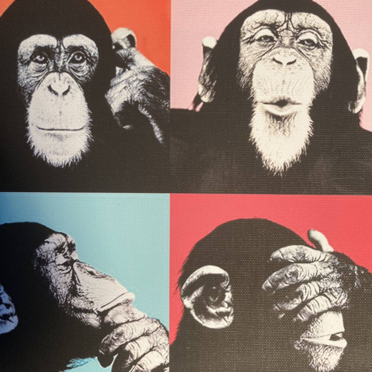 プリントアート 猿の表現 インテリア 置物 絵画