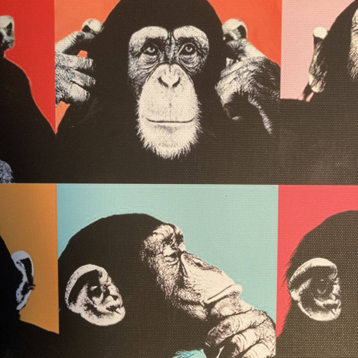 プリントアート 猿の表現 インテリア 置物 絵画
